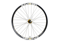 Load image into Gallery viewer, DT Swiss 240 EXP Custom Hand Built Mountain Disc Wheelset / Carbon Nobl Rims